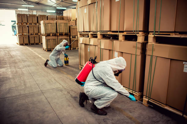 Best Ant Control Services  in Ebensburg, PA