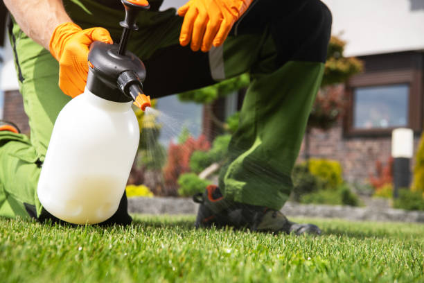 Best Emergency Pest Control  in Ebensburg, PA