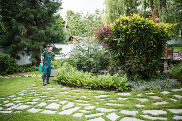 Best Mosquito Control Services  in Ebensburg, PA