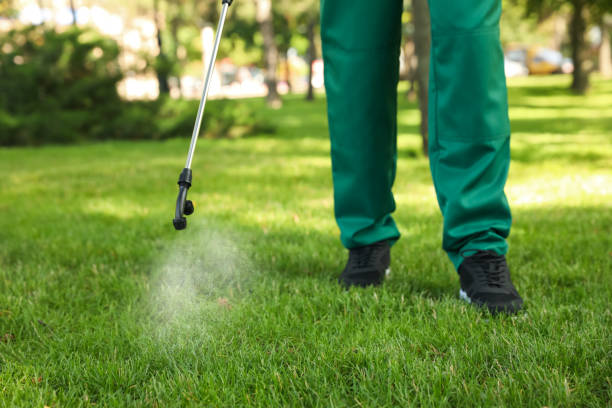 Best Best Pest Control Companies  in Ebensburg, PA