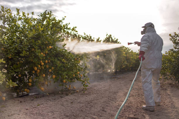 Best Affordable Pest Control Services  in Ebensburg, PA