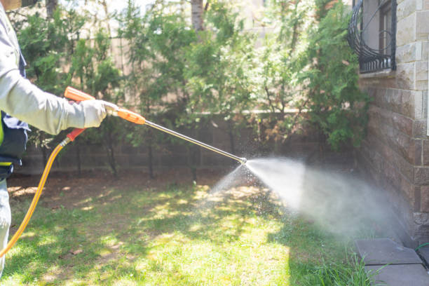 Spider Control Near Me in Ebensburg, PA
