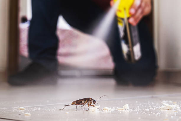Best Local Pest Control Services  in Ebensburg, PA